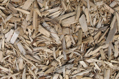 biomass boilers Beckhampton